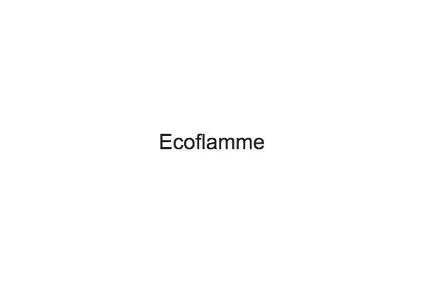 Ecoflamme ramoneurs